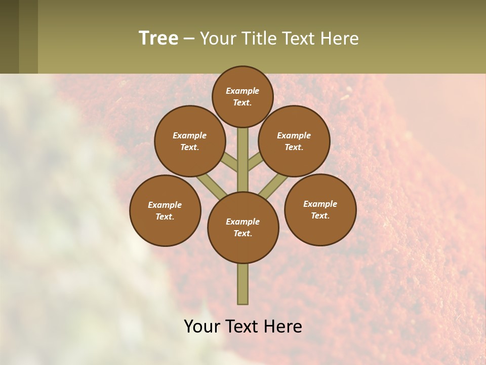 Cinnamon Cardamon Seasoning PowerPoint Template