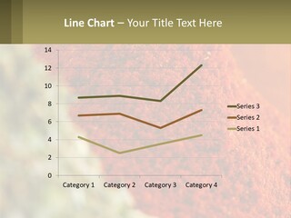 Cinnamon Cardamon Seasoning PowerPoint Template