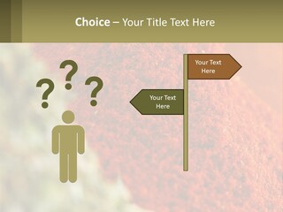 Cinnamon Cardamon Seasoning PowerPoint Template