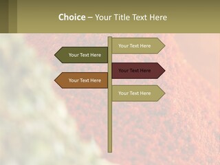 Cinnamon Cardamon Seasoning PowerPoint Template