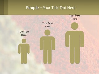 Cinnamon Cardamon Seasoning PowerPoint Template