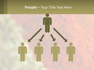 Cinnamon Cardamon Seasoning PowerPoint Template