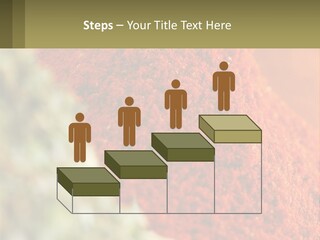 Cinnamon Cardamon Seasoning PowerPoint Template