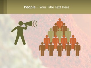 Cinnamon Cardamon Seasoning PowerPoint Template