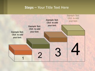 Cinnamon Cardamon Seasoning PowerPoint Template