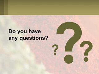 Cinnamon Cardamon Seasoning PowerPoint Template