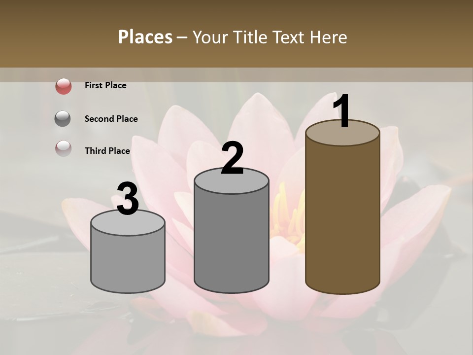 Close Aquatic Color PowerPoint Template