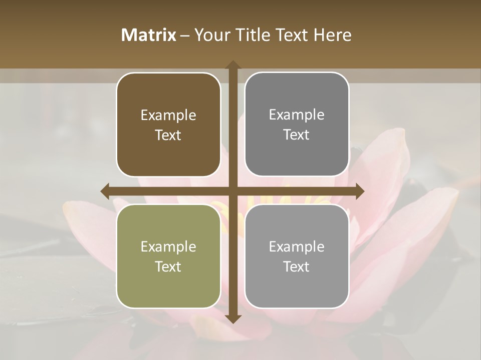 Close Aquatic Color PowerPoint Template