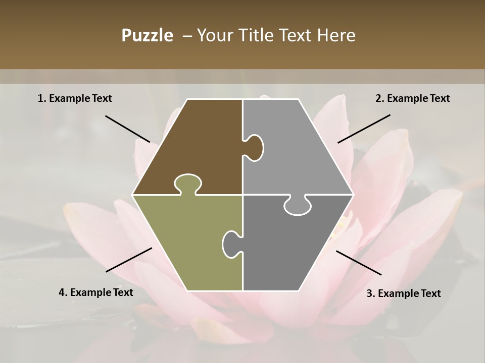 Close Aquatic Color PowerPoint Template