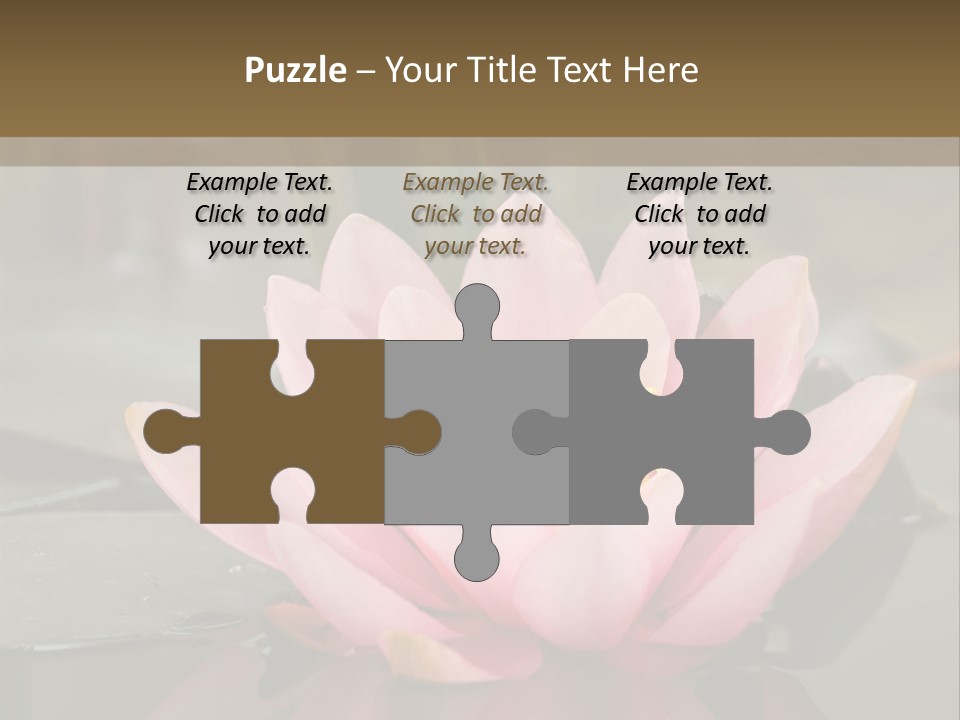 Close Aquatic Color PowerPoint Template