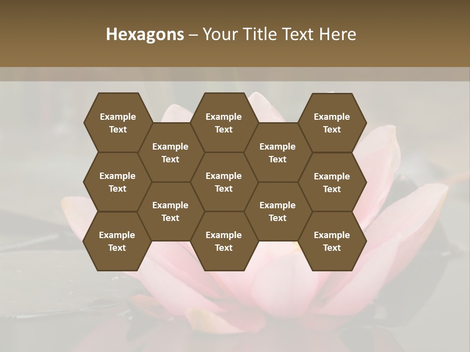 Close Aquatic Color PowerPoint Template