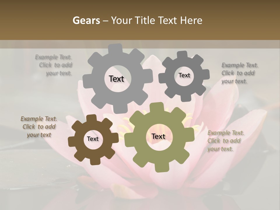 Close Aquatic Color PowerPoint Template