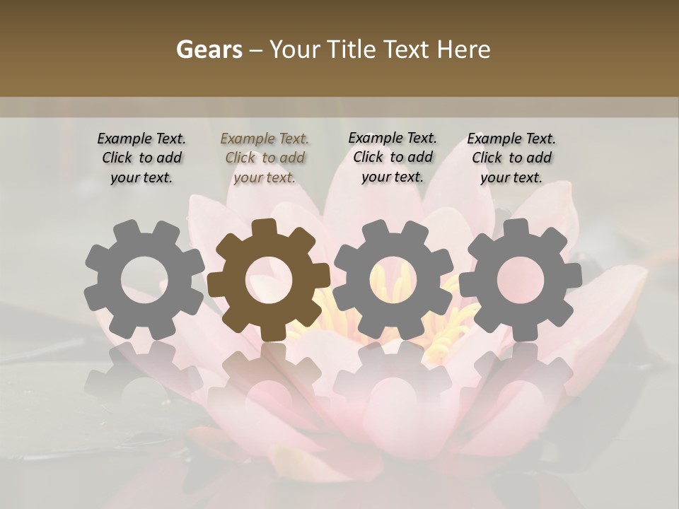 Close Aquatic Color PowerPoint Template