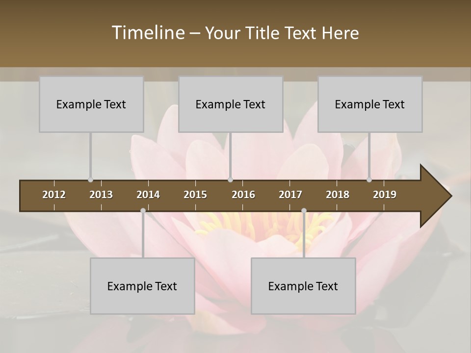 Close Aquatic Color PowerPoint Template