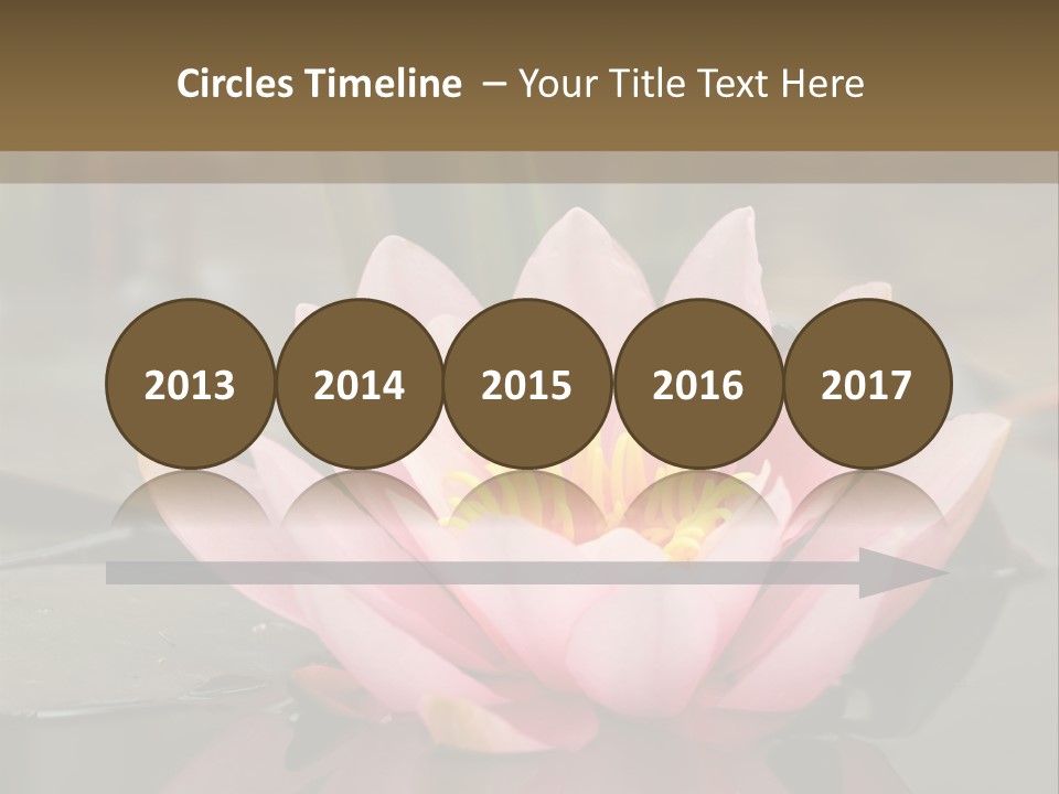 Close Aquatic Color PowerPoint Template