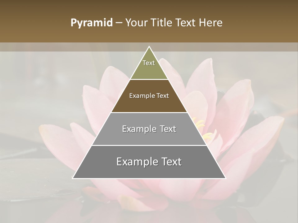 Close Aquatic Color PowerPoint Template