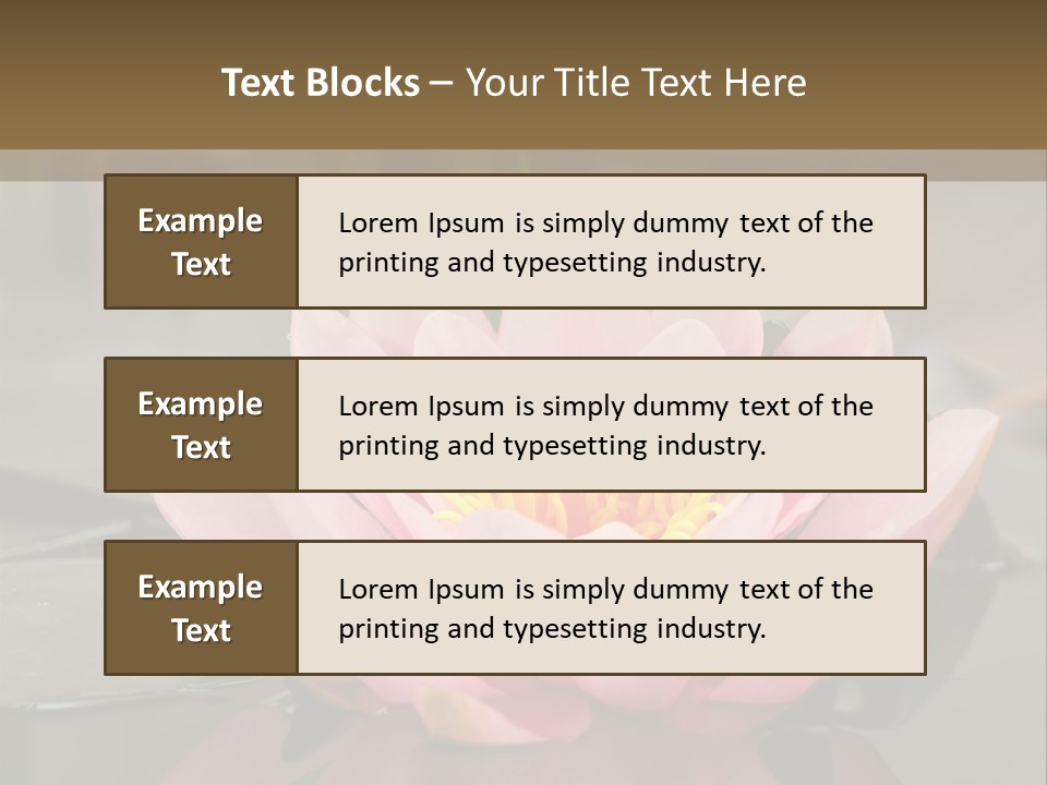 Close Aquatic Color PowerPoint Template