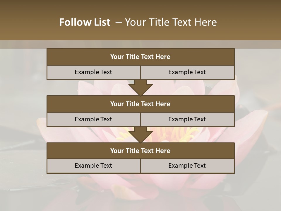 Close Aquatic Color PowerPoint Template