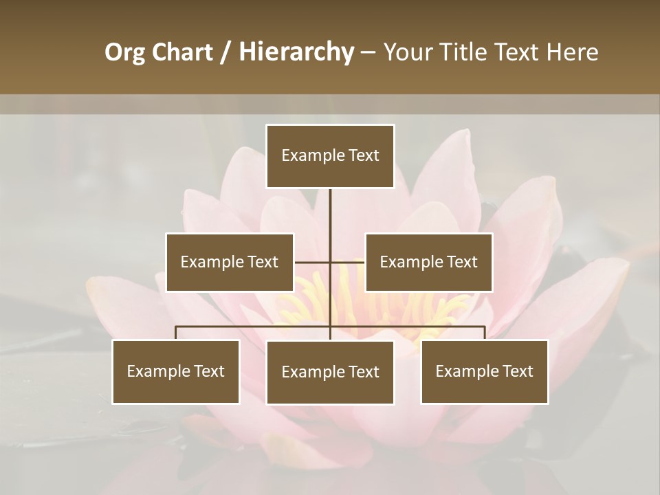 Close Aquatic Color PowerPoint Template