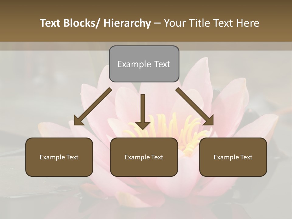 Close Aquatic Color PowerPoint Template