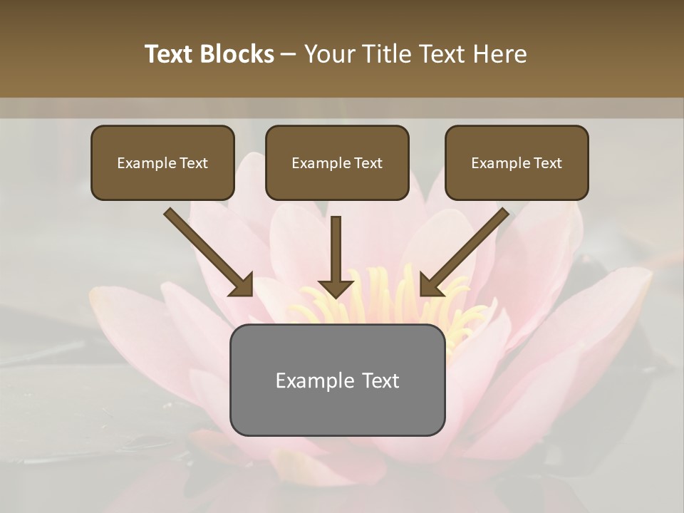 Close Aquatic Color PowerPoint Template