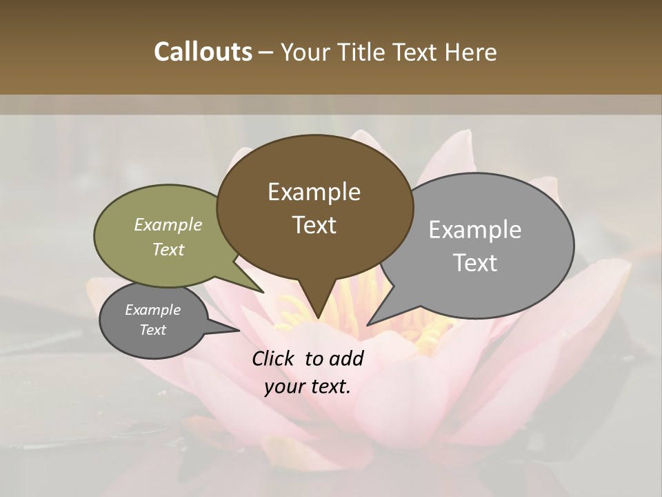 Close Aquatic Color PowerPoint Template