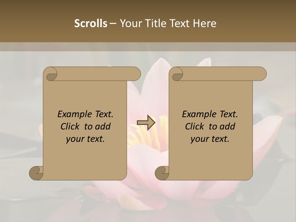 Close Aquatic Color PowerPoint Template