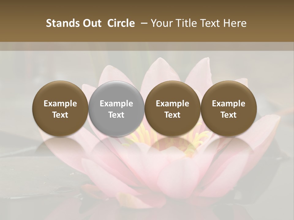 Close Aquatic Color PowerPoint Template