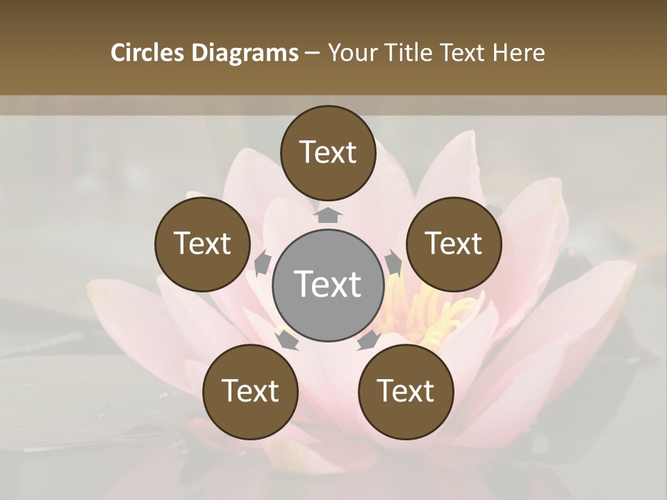 Close Aquatic Color PowerPoint Template