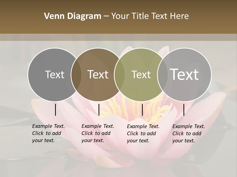 Close Aquatic Color PowerPoint Template