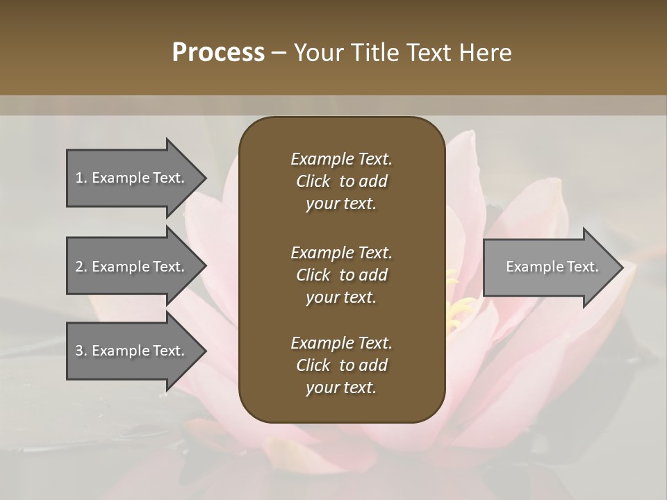 Close Aquatic Color PowerPoint Template