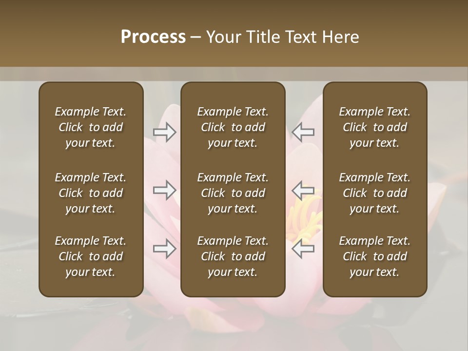Close Aquatic Color PowerPoint Template