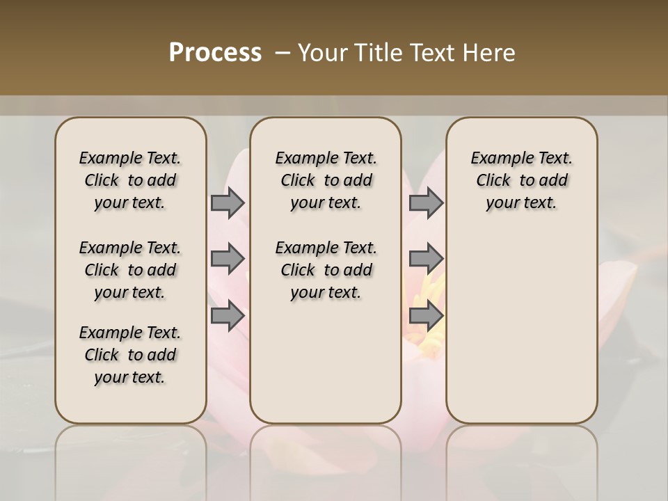 Close Aquatic Color PowerPoint Template