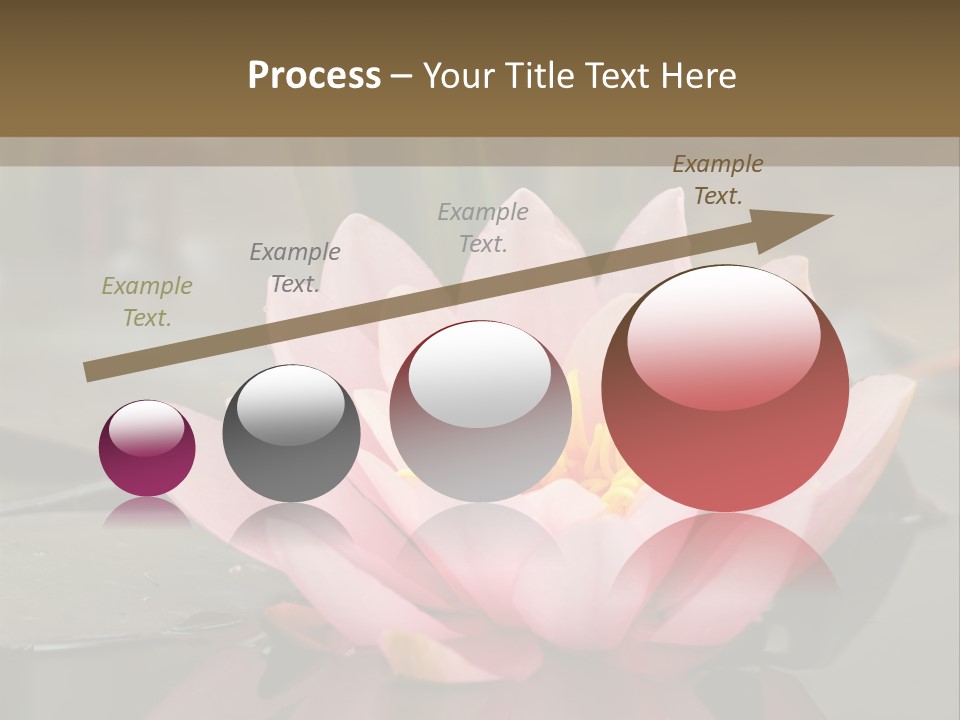 Close Aquatic Color PowerPoint Template