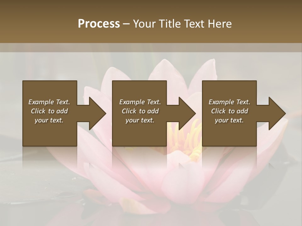 Close Aquatic Color PowerPoint Template