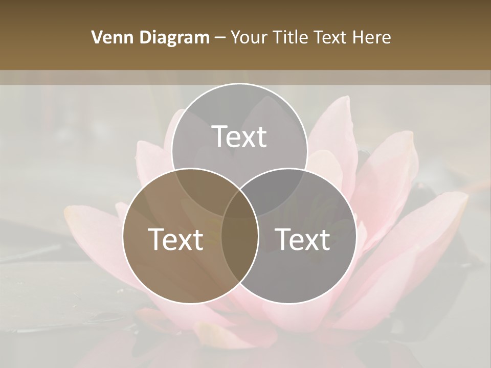 Close Aquatic Color PowerPoint Template