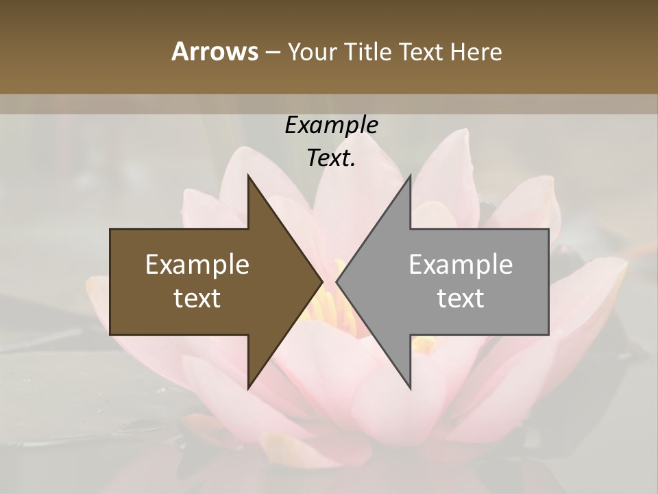 Close Aquatic Color PowerPoint Template