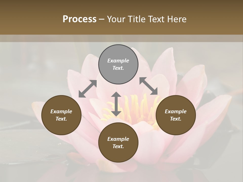 Close Aquatic Color PowerPoint Template