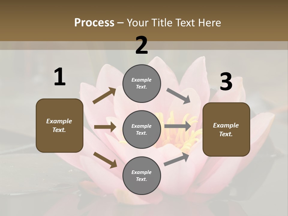 Close Aquatic Color PowerPoint Template