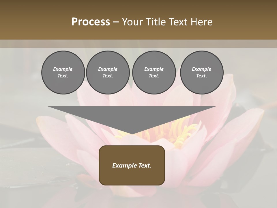 Close Aquatic Color PowerPoint Template