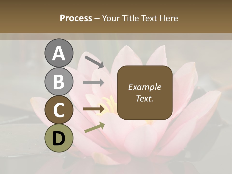 Close Aquatic Color PowerPoint Template