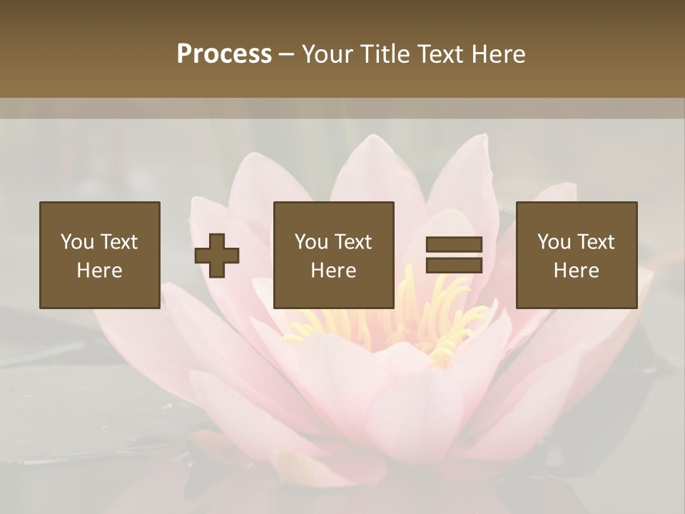 Close Aquatic Color PowerPoint Template