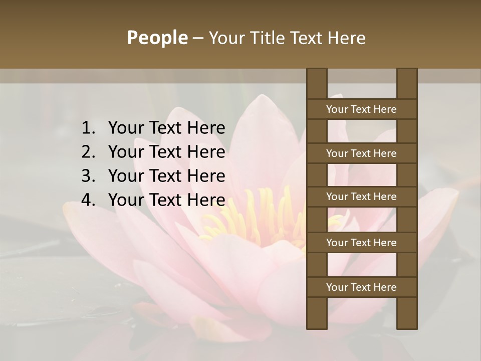 Close Aquatic Color PowerPoint Template