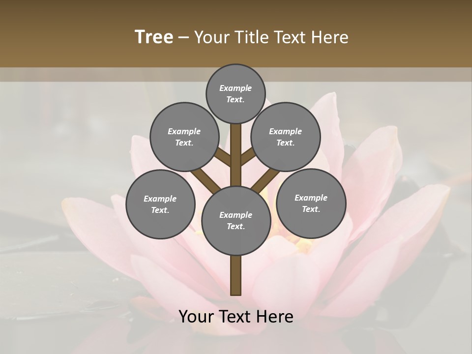 Close Aquatic Color PowerPoint Template