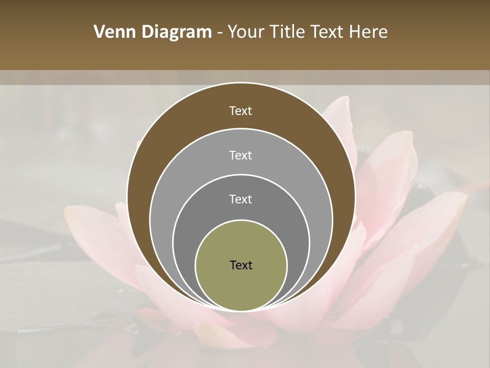 Close Aquatic Color PowerPoint Template