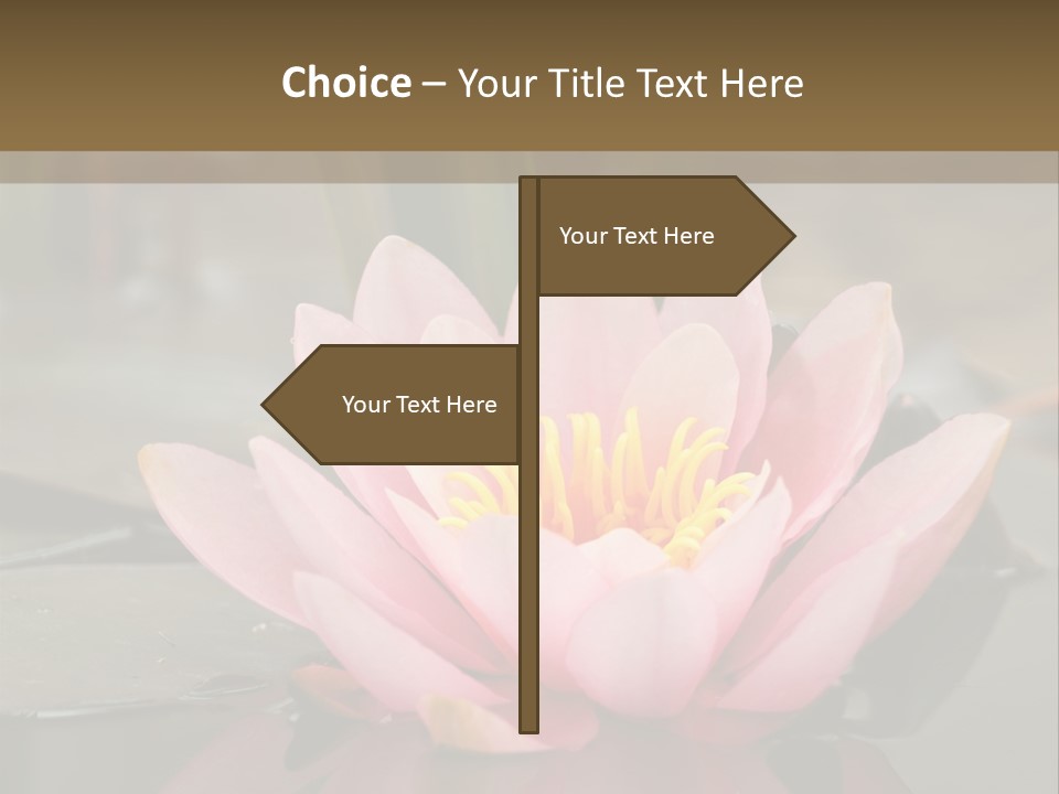 Close Aquatic Color PowerPoint Template