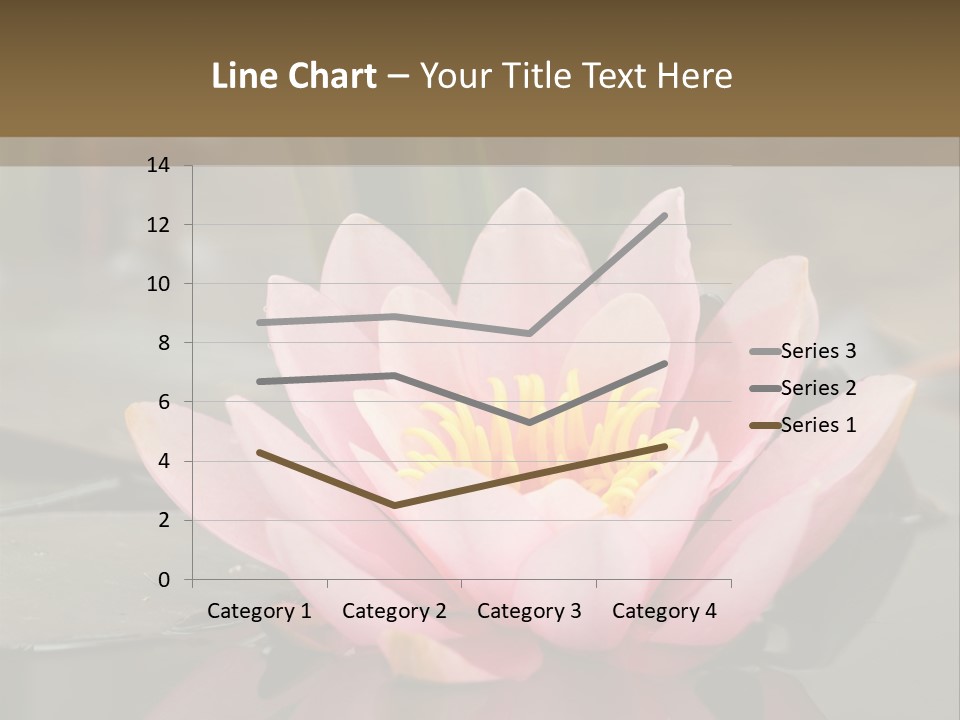Close Aquatic Color PowerPoint Template