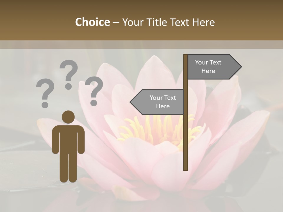 Close Aquatic Color PowerPoint Template
