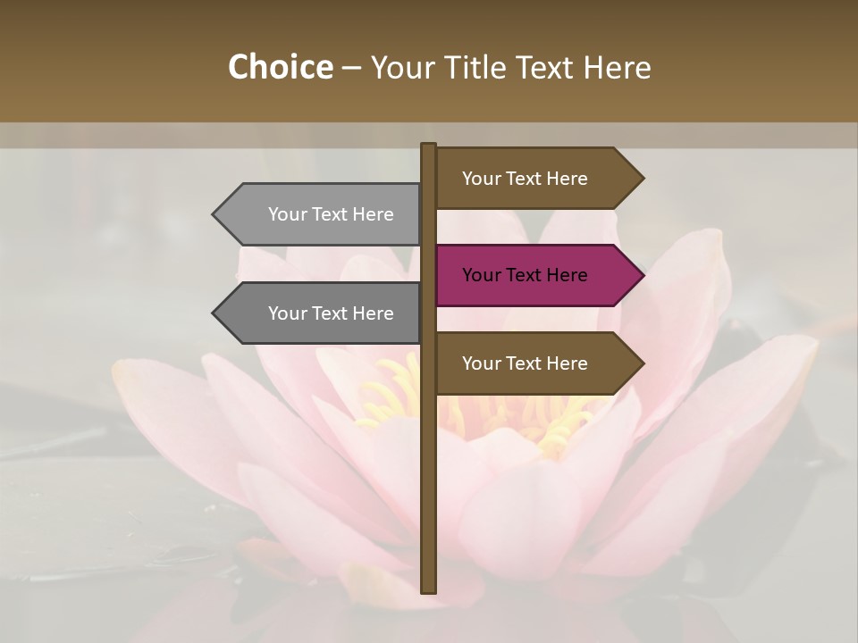 Close Aquatic Color PowerPoint Template
