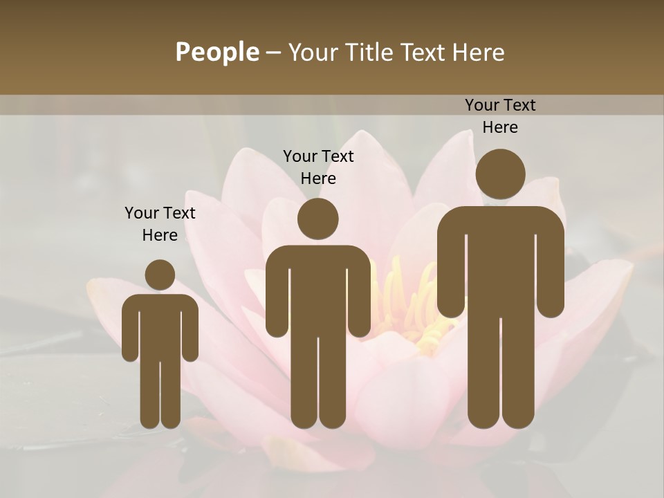 Close Aquatic Color PowerPoint Template